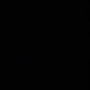 Meet your Posher, Nicholas ngo